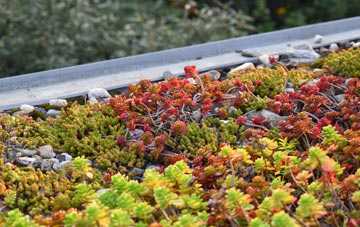 the cost of Privett green roof installation