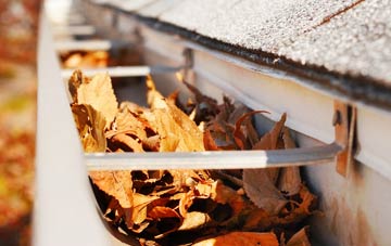 Privett gutter cleaning companies