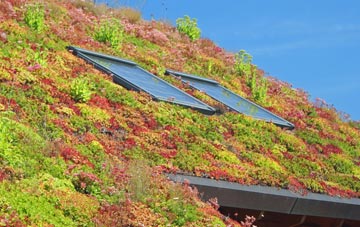 Privett living roof systems