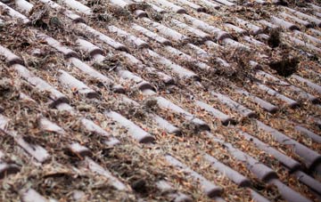 Privett roof cleaning companies