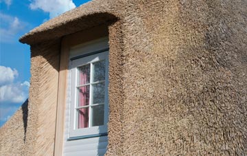 Privett thatch roof disadvantages