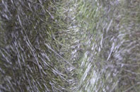 Privett fibreglass roof work