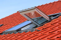 Privett roof window